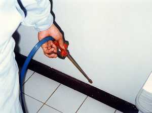 Wichtig zu wissen ist bei der Pest Control, welches Mittel wo gesprüht werden muss