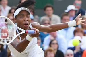  Venus Williams siegte in diesem Jahr beim Rasenturnier in Wimbledon. 