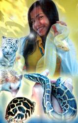 Der exotische Zoo von Korat ist mindestens so attraktiv, wie es dieses Werbeplakat verheissen lässt. 