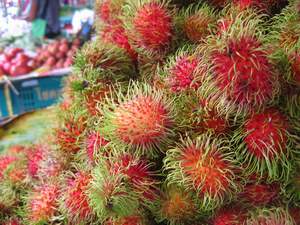 Sie sieht besonders skurril und exotisch aus: die Rambutan. Sie gehört zu den beliebtesten Früchten in Thailand und ist das ganze Jahr über auf den meisten Märkten Südostasiens zu finden. Ihr Fruchtfleisch schmeckt süß-saftig und wirkt erfrischend. 