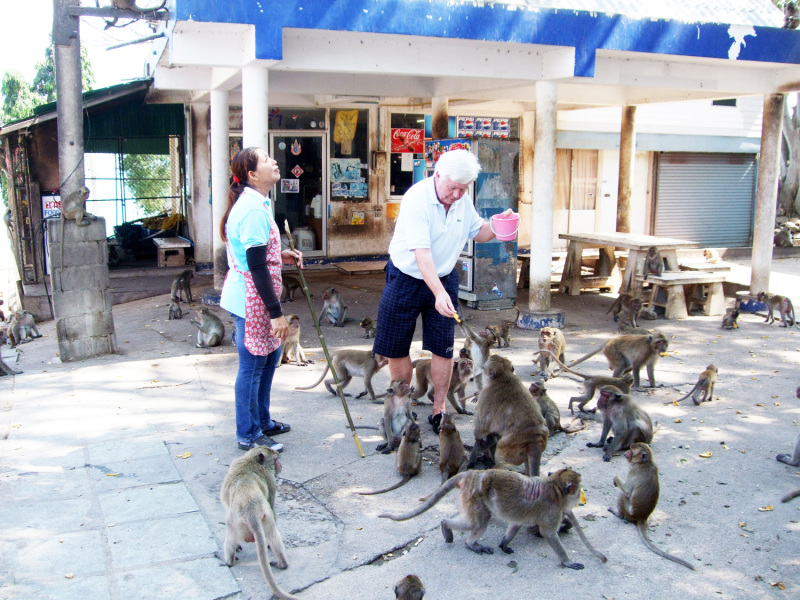 Wenn Affen in den Händen der Besucher am Tempel Khao Takiab Futter sehen, sind sie kaum zu bändigen.