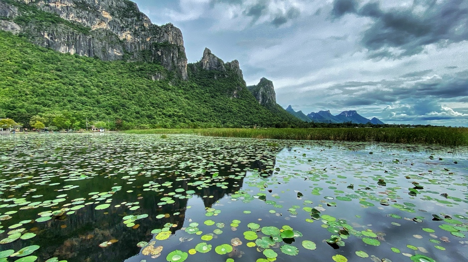 Der Nationalpark ist mit einer kontrastreichen und unverwechselbaren Naturvielfalt gesegnet. Khao Sam Roi Yot verbindet maritimes Flair mit idyllischem Bergpanorama.