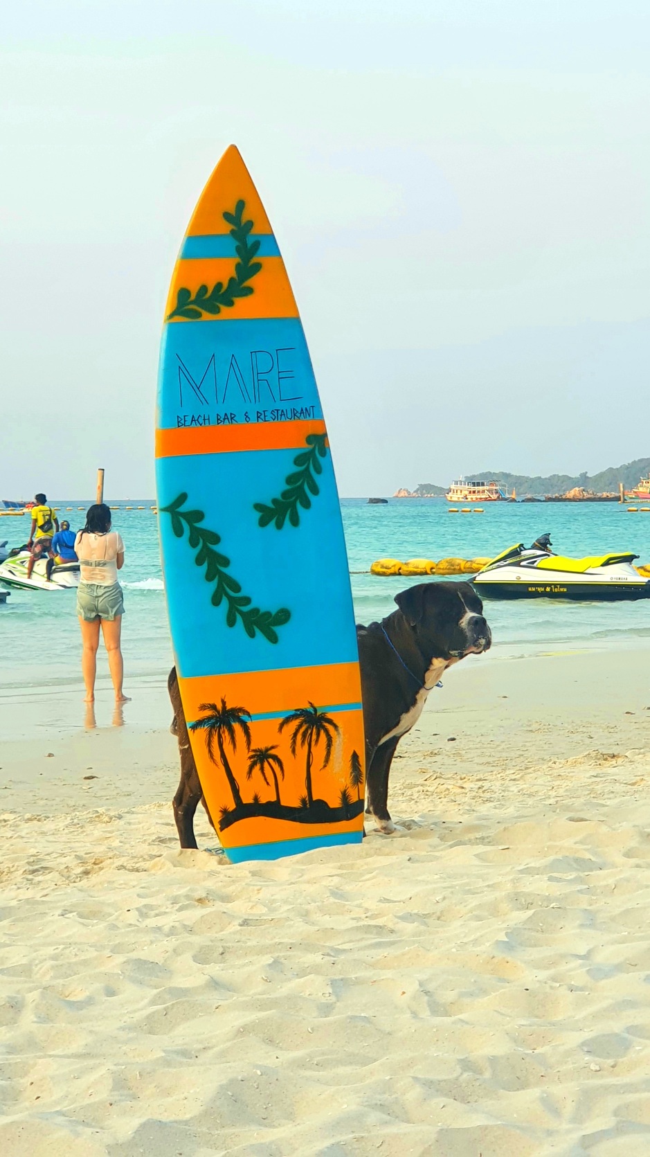 Auch dieser Hund outet sich als Selfie-Fan. Foto: Jahner