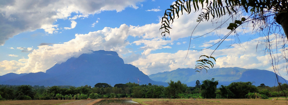 Schon aus der Ferne sticht der markante Berg ins Auge. Mit seinen 2.175 Metern zählt der Doi Luang Chiang Dao zu den höchsten Gipfeln in Thailand. Er kann in einem Tag bestiegen werden. Fotos: Spraul-Doring