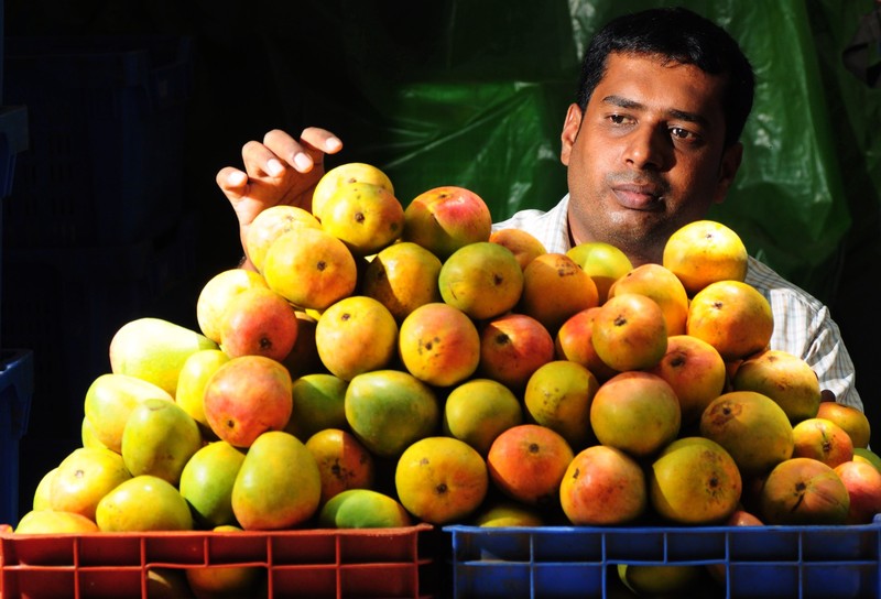 Ein Mangohändler im indischen Bangalore. Jagadeesh Nv