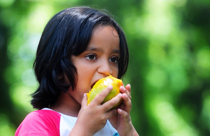 Mangos sind bei Groß und Klein gleichermaßen Beliebt. Foto: epa/Jagadeesh Nv