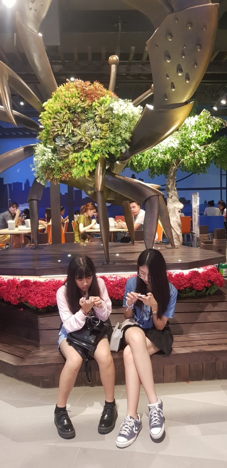 Teenager schätzen das Gratis-Wi-Fi im Einkausfcenter. Auch Aufladestationen für Handybatterien stehen bereit.