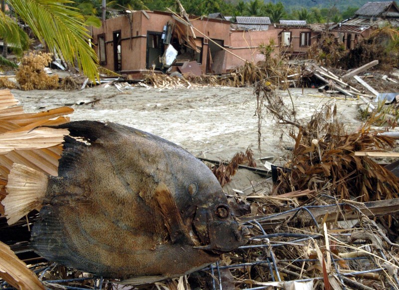 Khao Lak am 10. Januar 2015. Rund 230.000 Menschen rund um den Indischen Ozean kamen ums Leben, allein in Thailand 5.400. Foto: epa/Boris Roessler