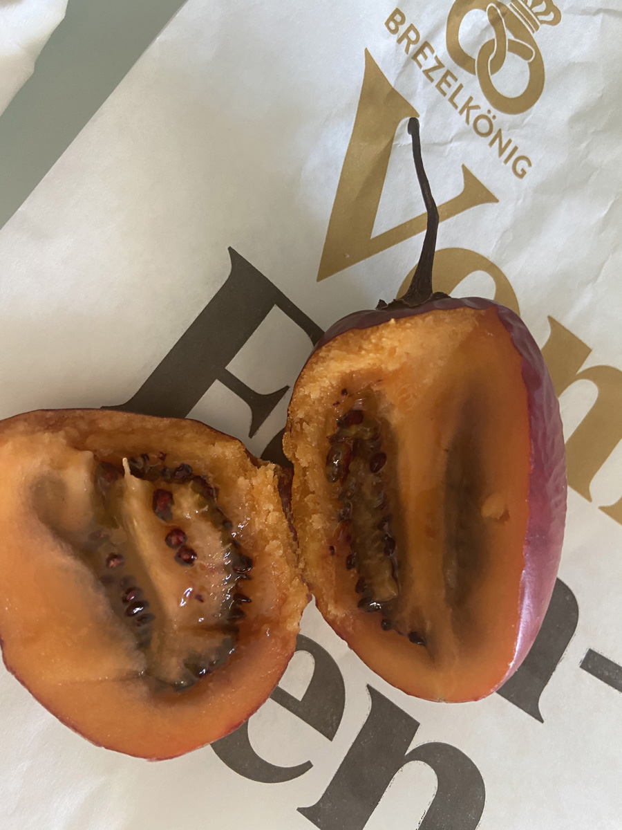 Die Frucht heißt auch „Baumtomate“.