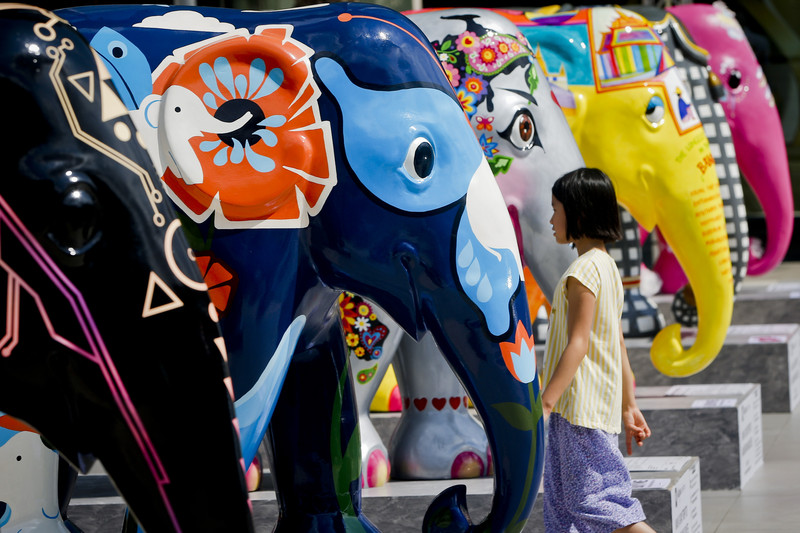 Bei der Gestaltung der kunterbunten Dickhäuter ließen die Künstler ihrer Kreativität freien Lauf. Foto: epa/Diego Azubel
