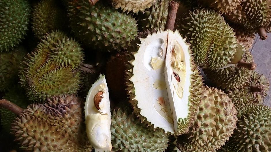 Durian-Festival in Uttaradit.