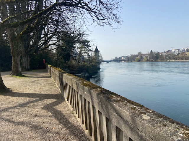 Der namensgebende Rhein…