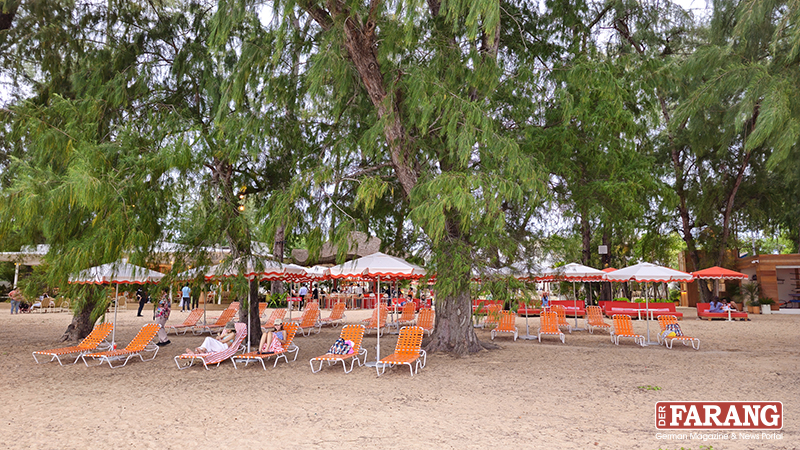 Unter schattigen Kasuarinen lädt der Strandbereich des Resorts zum stilvollen Entspannen und Sonnen ein.