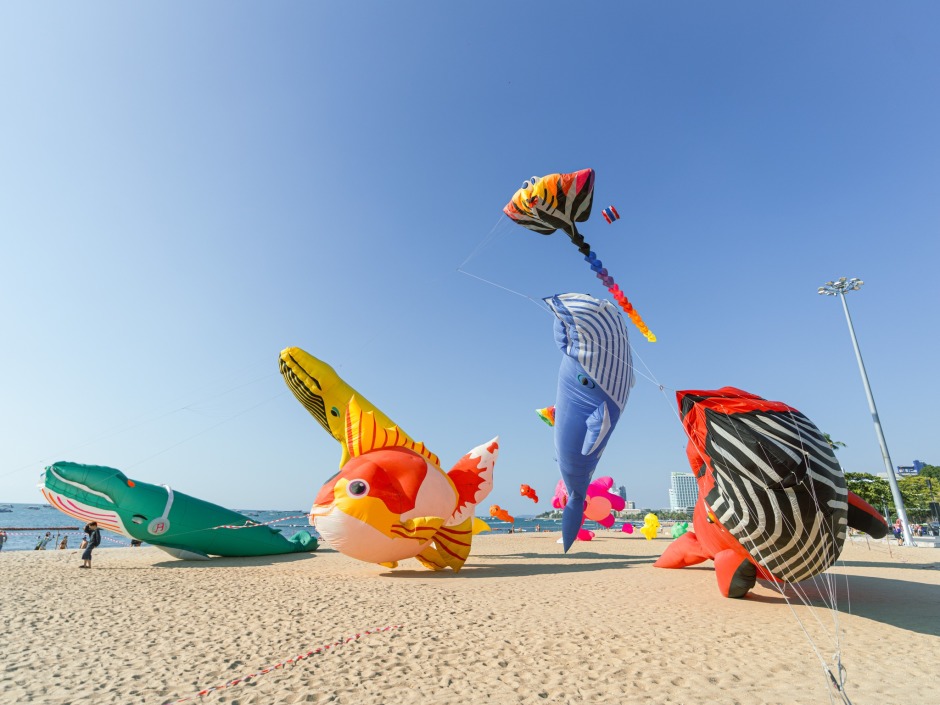 Fantasievolle Tierdrachen in verschiedenen Größen liegen startbereit im Sand. Foto: Central Pattaya