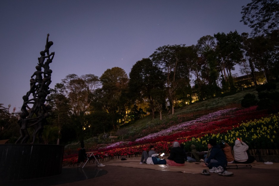 Besucher genießen in der Abenddämmerung den Blick über die Blütenpracht des Mae Fah Luang Garden. Foto: Mae Fah Luang Foundation
