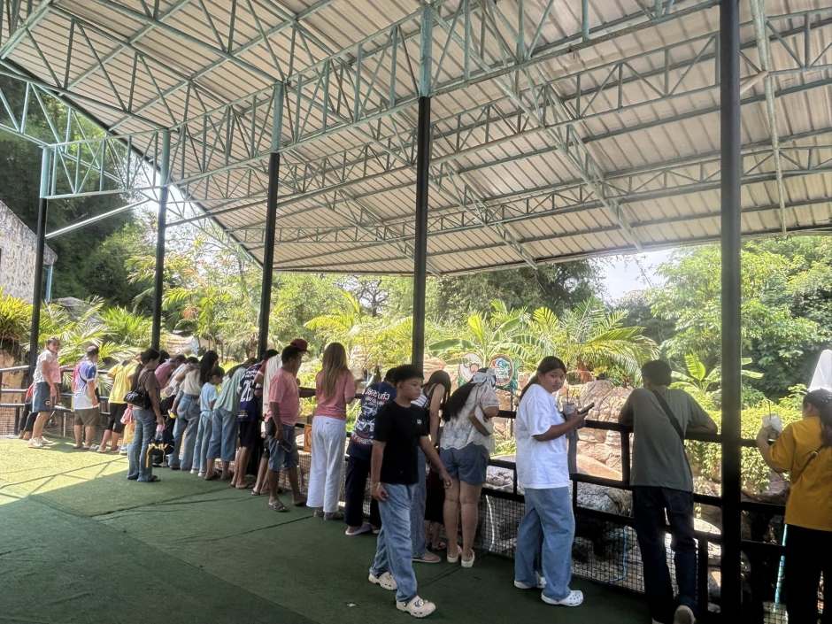 Besucher verfolgen das Geschehen am Gehege, wo das Zwergflusspferd seit seiner Präsentation großes Interesse weckt. Foto: Nakhon Ratchasima Zoo