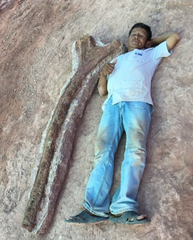 Ein Bewohner von Ban Phanang Suea liegt neben einem freigelegten Rippenknochen des später identifizierten Riesensauriers aus Chaiyaphum. Bild: Department of Mineral Resources
