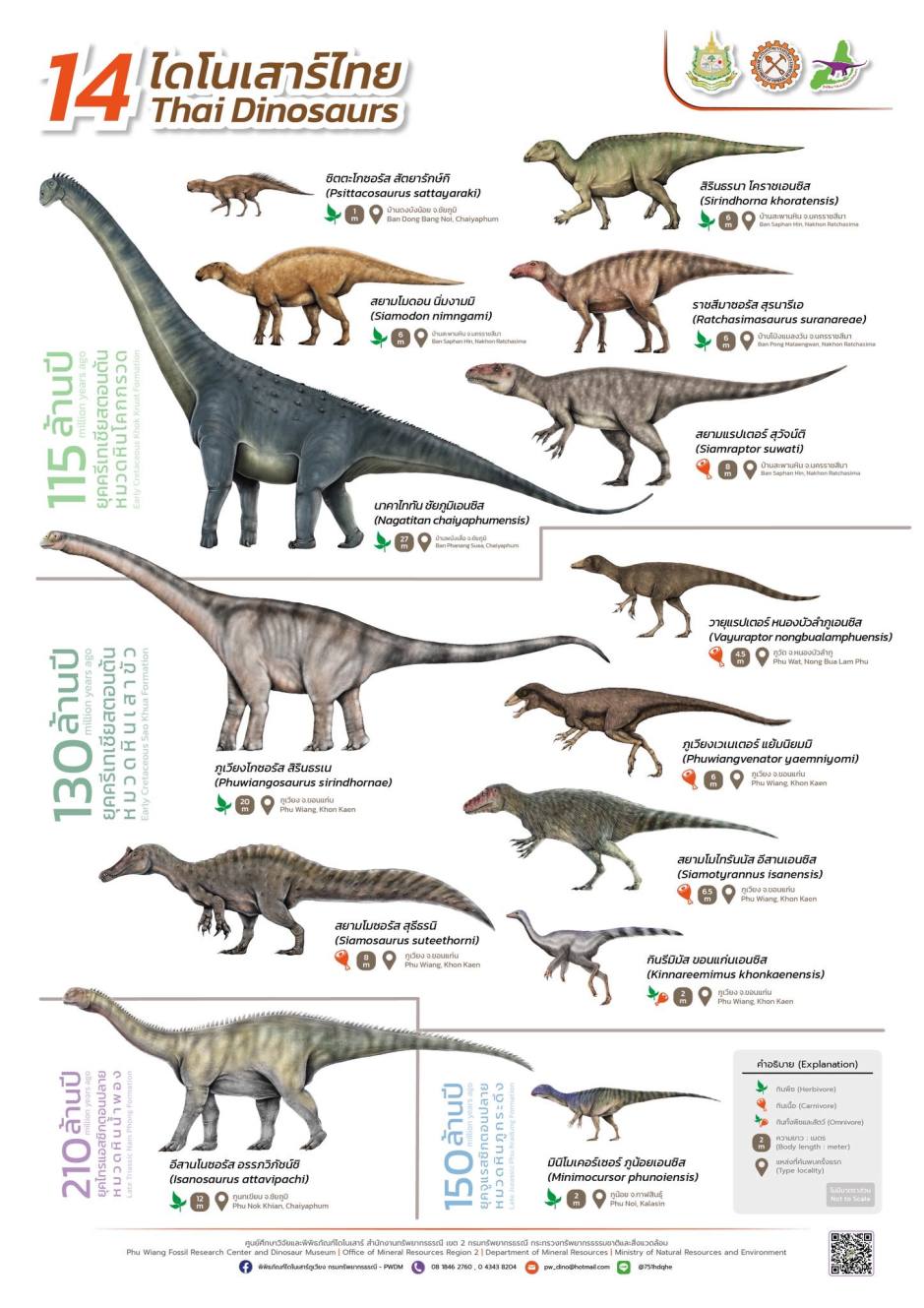 Die Übersicht zeigt die bislang 14 offiziell benannten Dinosaurierarten Thailands, darunter den neu entdeckten Riesensauropoden Nagatitan chaiyaphumensis aus Chaiyaphum. Bild: Department of Mineral Resources