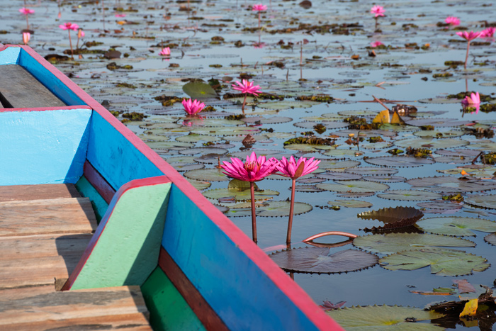 Thale Noi © Siamways