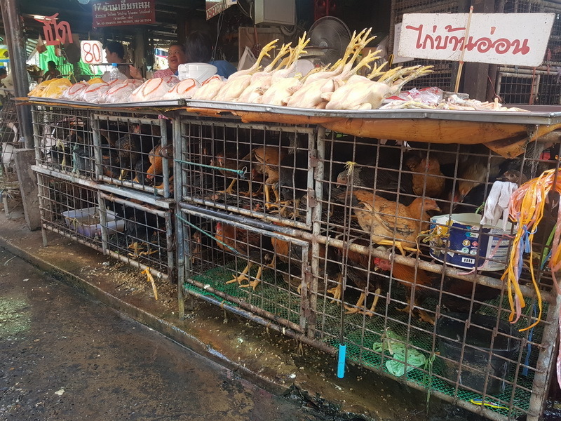 Kurioses Bild am Khlong Toei Market: Unten gackern die Hühner lebendig, oben liegen sie bereits gerupft.