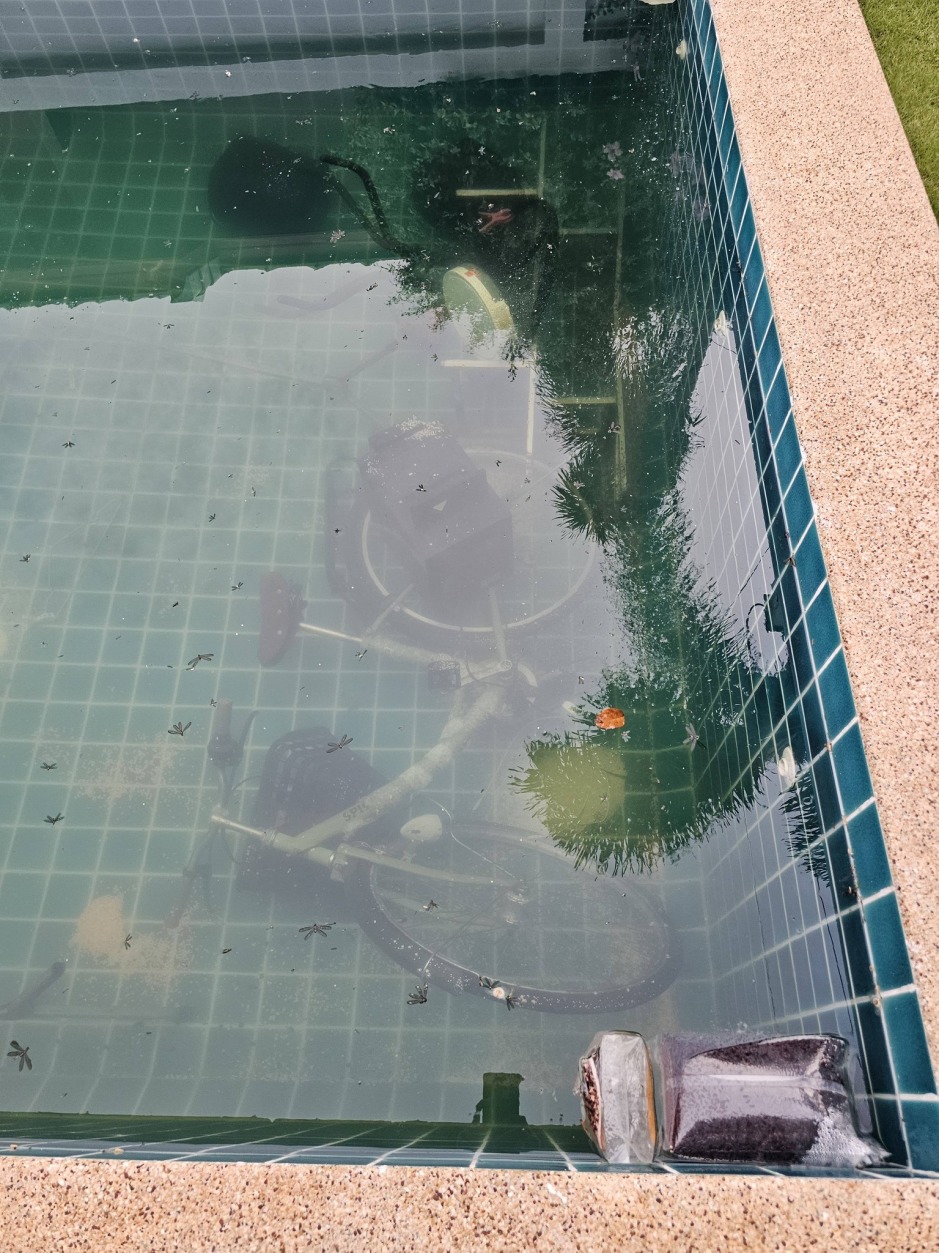 Im Swimmingpool entdeckte die Eigentümerin unter anderem ein Fahrrad sowie weitere Gegenstände unter Wasser. Bild: Facebook/ คุณนายแอบเเซ่บในเยอร์มัน คุณนายแอบแซ่บในเยอร์มัน