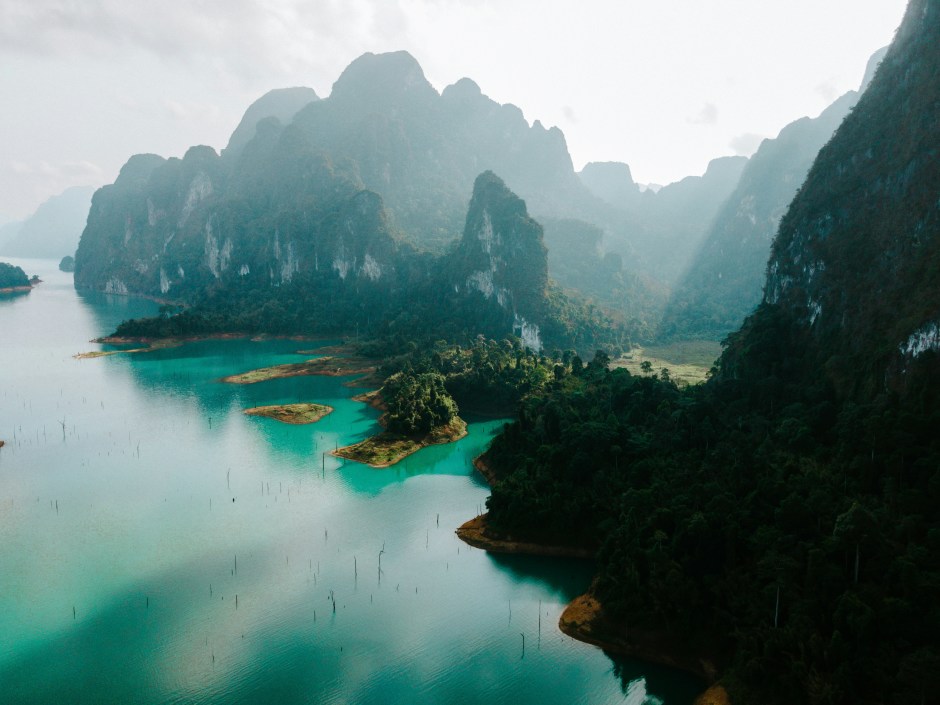 Foto von Joshua Rawson-Harris auf Unsplash