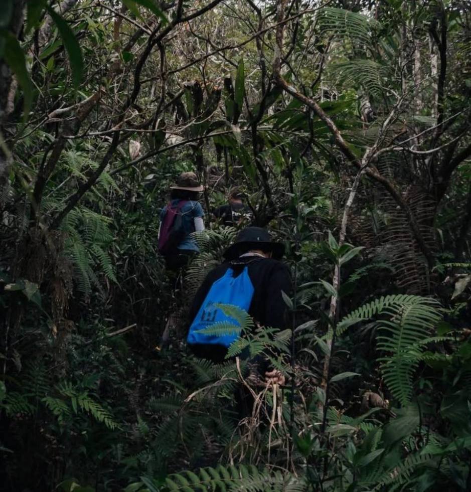Wanderer bewegen sich auf schmalem Pfad durch dichten tropischen Regenwald mit anspruchsvollem Gelände. Bild: Department of National Parks, Wildlife and Plant Conservation (DNP)