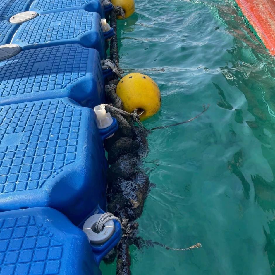 Ölrückstände haften an der schwimmenden Pontonanlage vor der Küste der betroffenen Insel. Foto: Newshawk Phuket