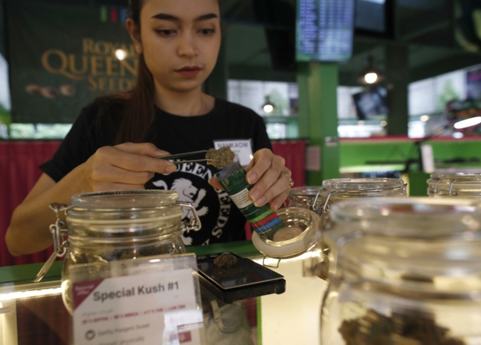 Im Mai wurde Cannabis erneut zum Politikum, als Premier Srettha eine Rückstufung als illegale Droge forderte. Foto: epa-efe/Rungroj Yongrit