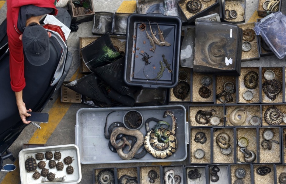 Auf dem Chatuchak-Markt entfachte am 11. Juni ein Brand  in der Haustierzone, mehr als 1.000 Tiere kamen um. Foto: epa-efe/Narong Sangnak