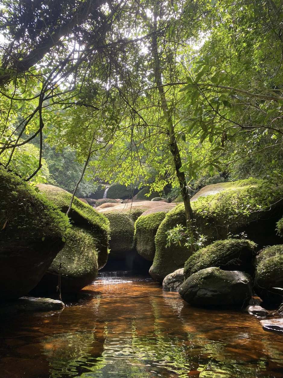 Gut gefüllte Wasserläufe prägen die Regenzeit im Juni. Foto: Phulangka National Park