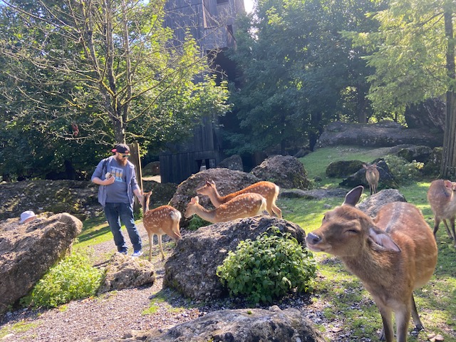 Im Tier Park Goldau können die Tiere gefüttert werden, das macht viel Spaß.