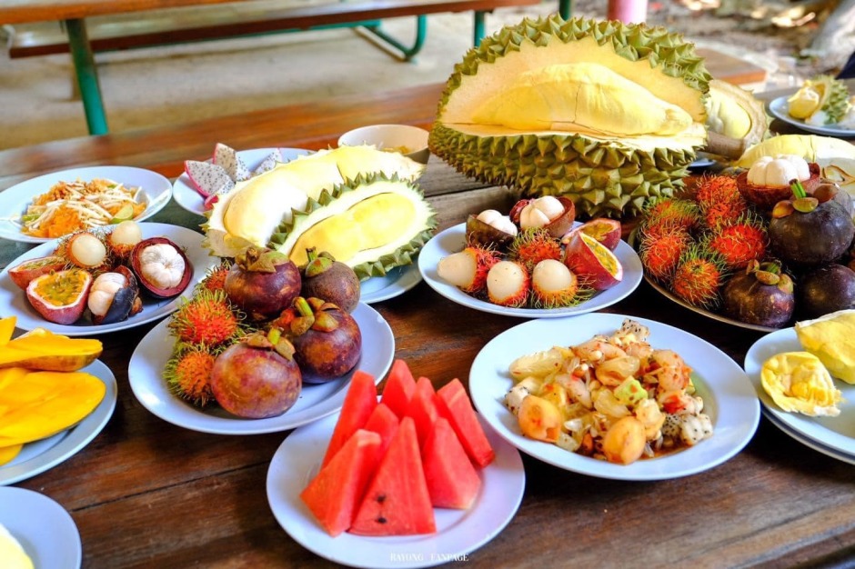 Die Obstbuffets umfassen viele leckere tropische Früchte, frisch aus dem Obstgarten. Im Bild Suphattra Land. Foto: Suphattra Land