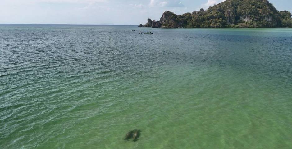 Luftaufnahme der Küstengewässer vor Trang, in denen die seltene Szene dokumentiert wurde. Bild: Department of National Parks, Wildlife and Plant Conservation (DNP)