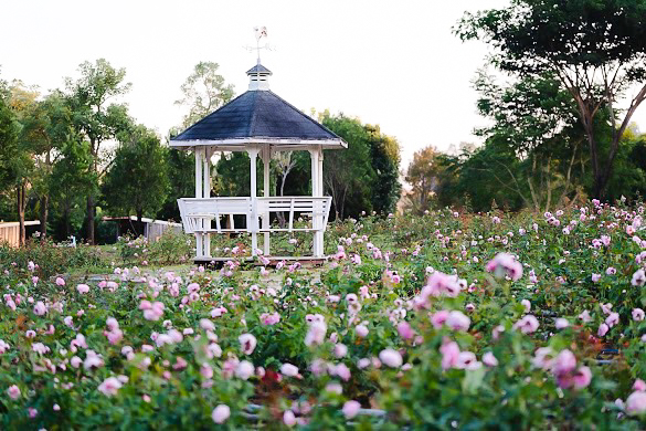 Blick auf eine Gartenanlage mit Pavillon, umgeben von blühenden Zierpflanzen im Flora Park.