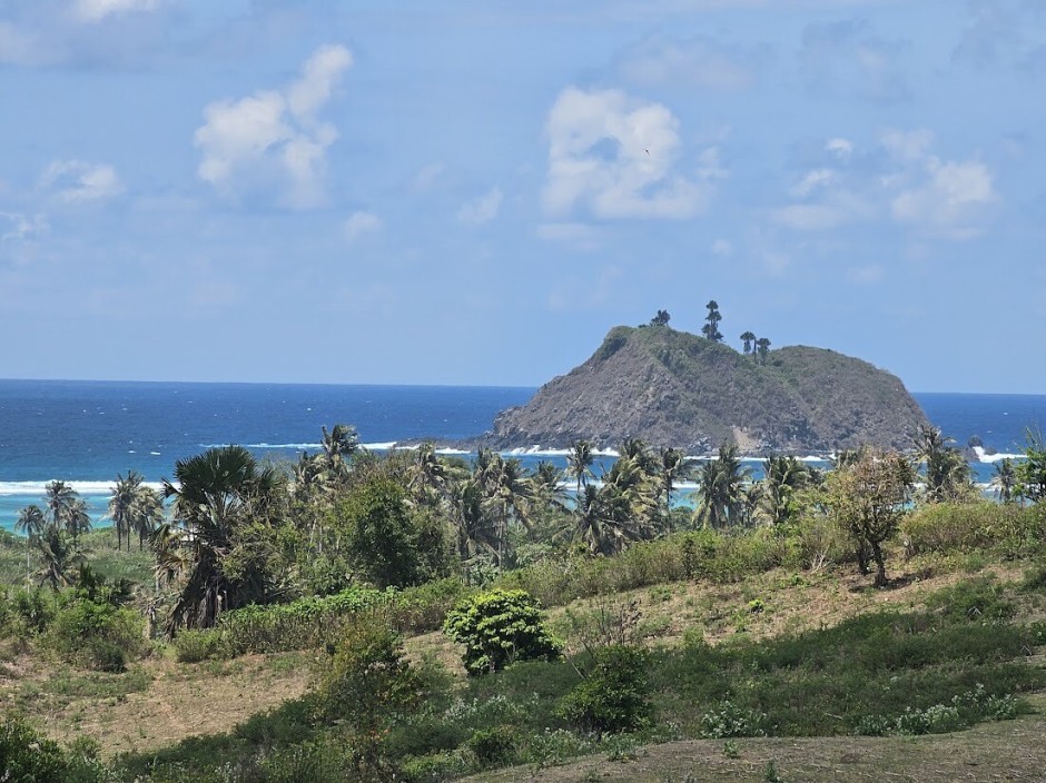 Kokospalmen und türkisfarbenes Meer: Blick vom Hügel  über Buwun Mas auf eine vorgelagerte Insel vor Lombok. Foto: picture alliance/dpa | Ahmad Pathoni