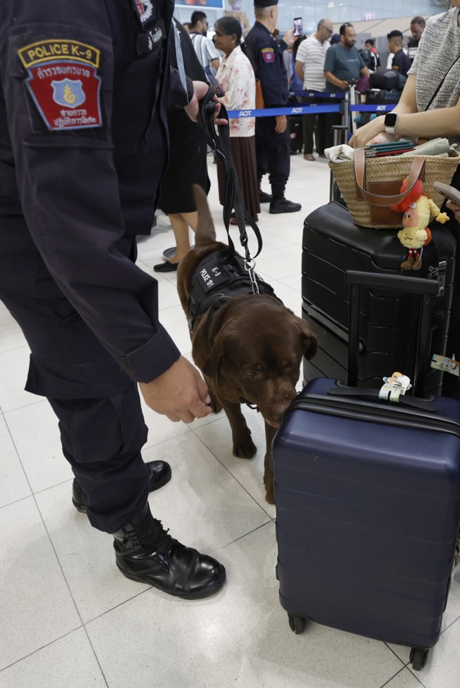 Ein K-9-Spürhund überprüft Koffer im Rahmen der verschärften Ausreisekontrollen auf Betäubungsmittel. Foto: epa/Rungroj Yongrit