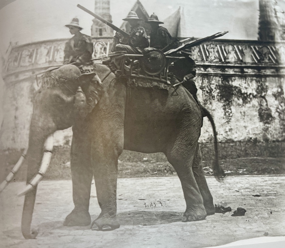Kriegselefant aus dem Siam zur Zeit von König Rama IV.